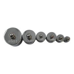 Set de calibrare cu 6 bucăți de greutăți 5g 10g 20g 50g 100g