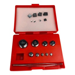 WS-241 Set de greutăți de calibrare 0,1g-100g