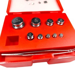 WS-241 Set de greutăți de calibrare 0,1g-100g